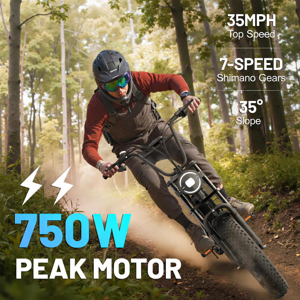 Mana Motion E500 750W Electric Mountain Bike