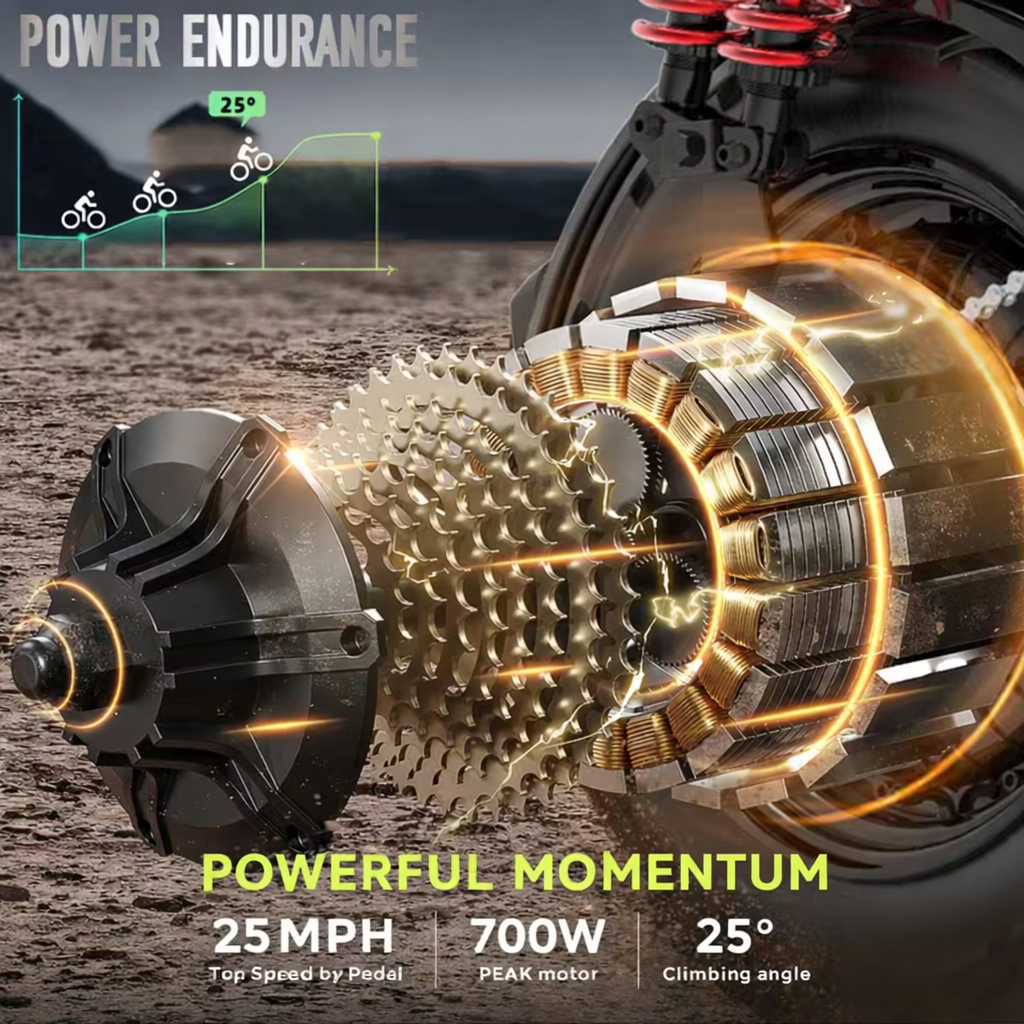 DDC Sport M1 Electric Bike, 700W, 48V 20AH Removable Battery