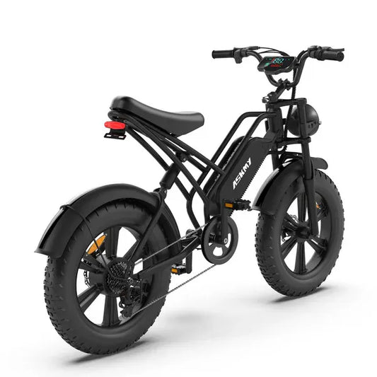 Mana Motion E500 750W Electric Mountain Bike